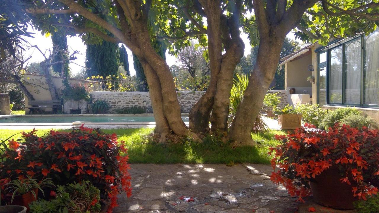 Sous Le Figuier... Apartment Buisson Bagian luar foto