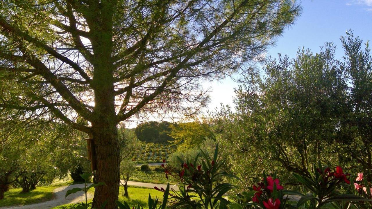 Sous Le Figuier... Apartment Buisson Bagian luar foto